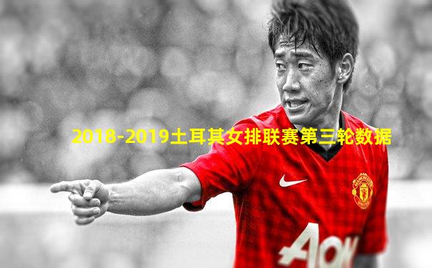 2018-2019土耳其女排联赛第三轮数据