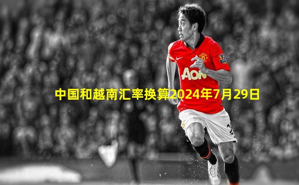 中国和越南汇率换算2024年7月29日