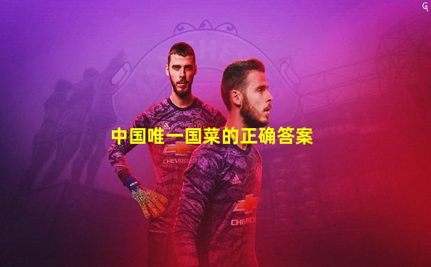中国唯一国菜的正确答案