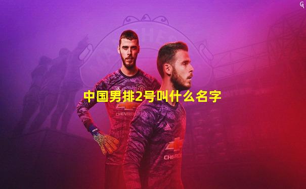 中国男排2号叫什么名字