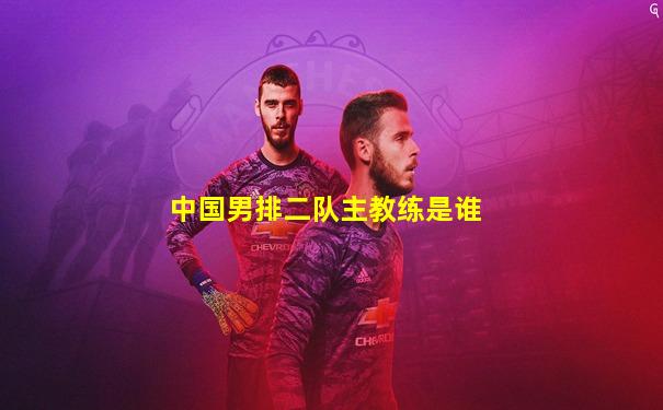 中国男排二队主教练是谁