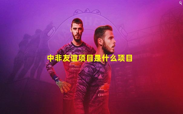 中非友谊项目是什么项目