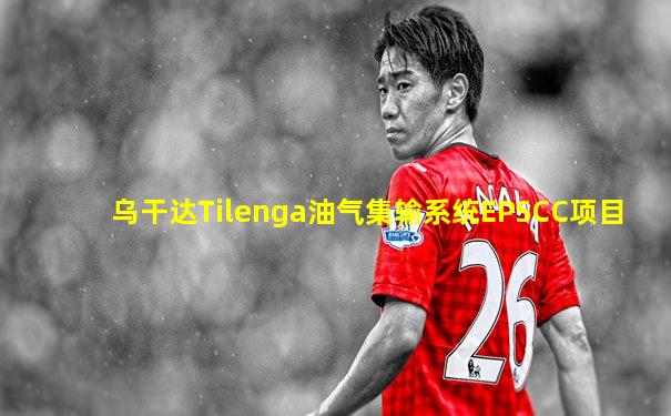 乌干达Tilenga油气集输系统EPSCC项目