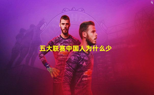 五大联赛中国人为什么少