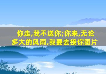 你走,我不送你;你来,无论多大的风雨,我要去接你图片