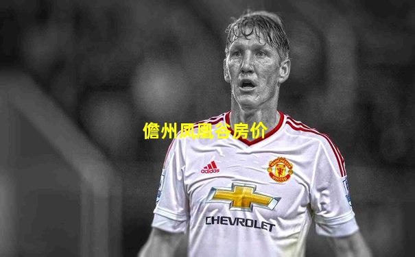 儋州凤凰谷房价