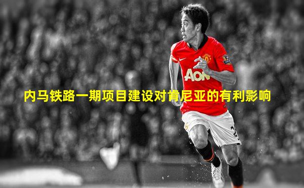 内马铁路一期项目建设对肯尼亚的有利影响