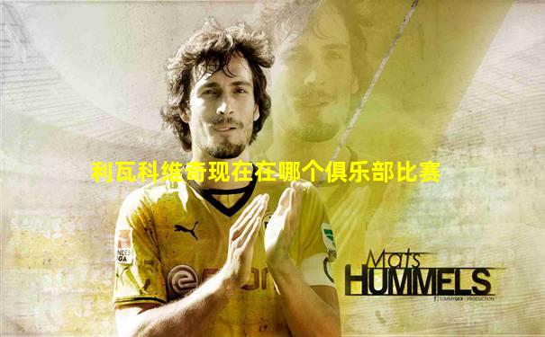 利瓦科维奇现在在哪个俱乐部比赛