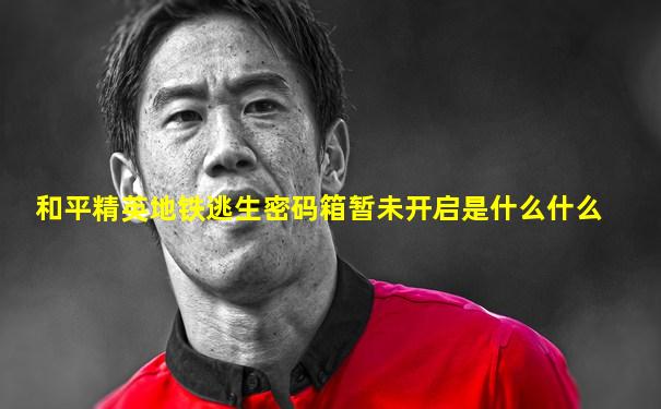 和平精英地铁逃生密码箱暂未开启是什么什么