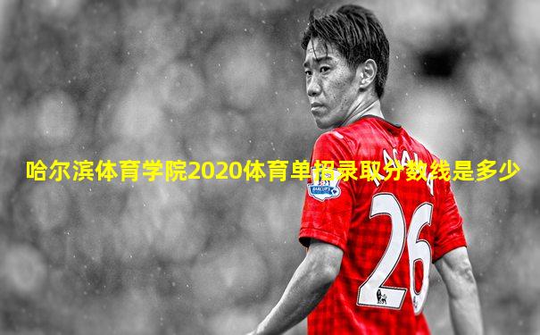 哈尔滨体育学院2020体育单招录取分数线是多少