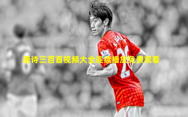 唐诗三百首视频大全连续播放免费观看