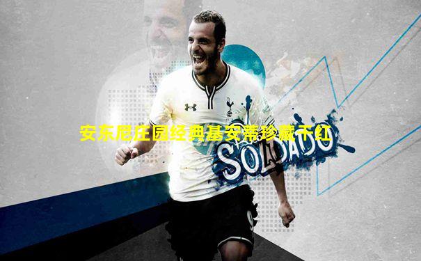 安东尼庄园经典基安蒂珍藏干红