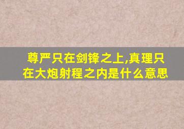 尊严只在剑锋之上,真理只在大炮射程之内是什么意思