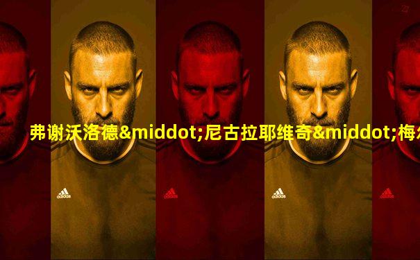 弗谢沃洛德·尼古拉耶维奇·梅尔库洛夫
