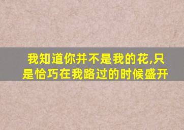 我知道你并不是我的花,只是恰巧在我路过的时候盛开