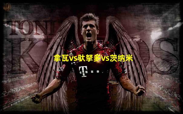 拿瓦vs驮拏多vs茨纳米