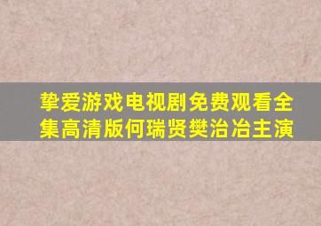 挚爱游戏电视剧免费观看全集高清版何瑞贤樊治冶主演