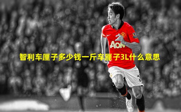 智利车厘子多少钱一斤车厘子3L什么意思