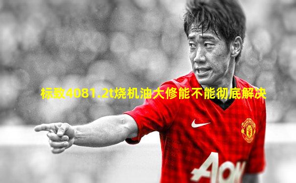 标致4081.2t烧机油大修能不能彻底解决