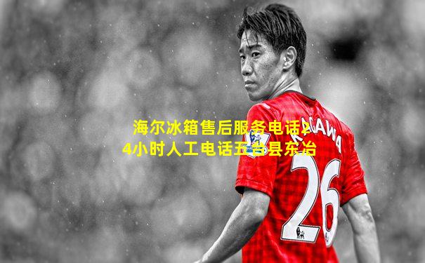 海尔冰箱售后服务电话24小时人工电话五台县东冶