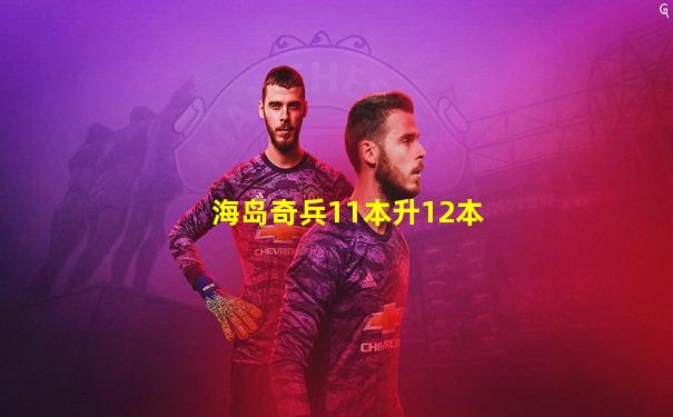 海岛奇兵11本升12本