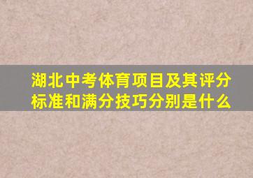 湖北中考体育项目及其评分标准和满分技巧分别是什么