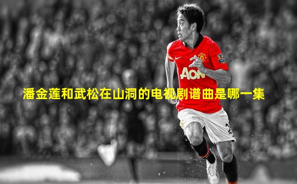 潘金莲和武松在山洞的电视剧谱曲是哪一集