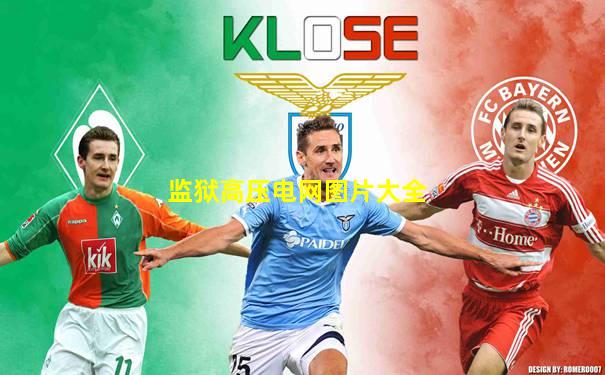 监狱高压电网图片大全