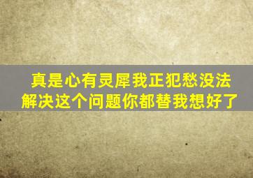 真是心有灵犀我正犯愁没法解决这个问题你都替我想好了