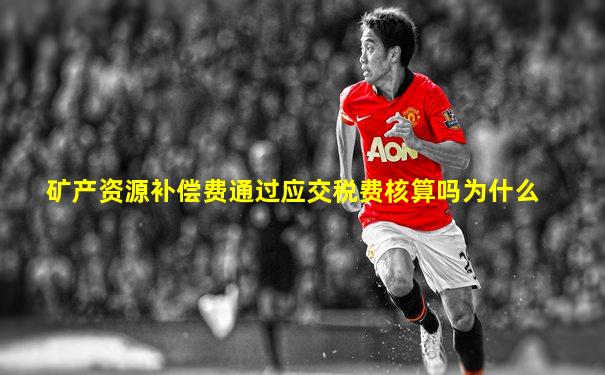 矿产资源补偿费通过应交税费核算吗为什么
