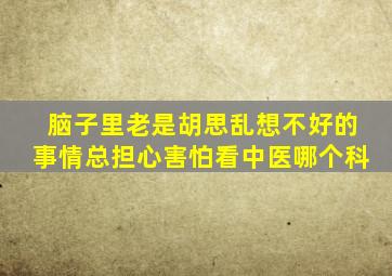 脑子里老是胡思乱想不好的事情总担心害怕看中医哪个科