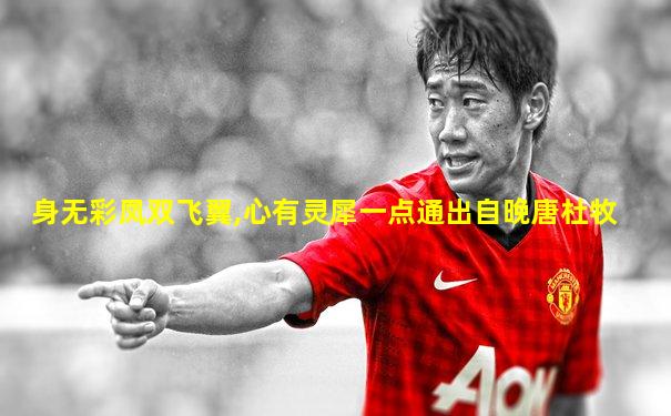 身无彩凤双飞翼,心有灵犀一点通出自晚唐杜牧