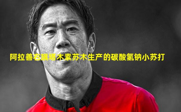 阿拉善右旗塔木素苏木生产的碳酸氢钠小苏打