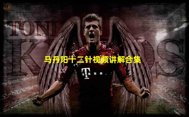 马丹阳十二针视频讲解合集